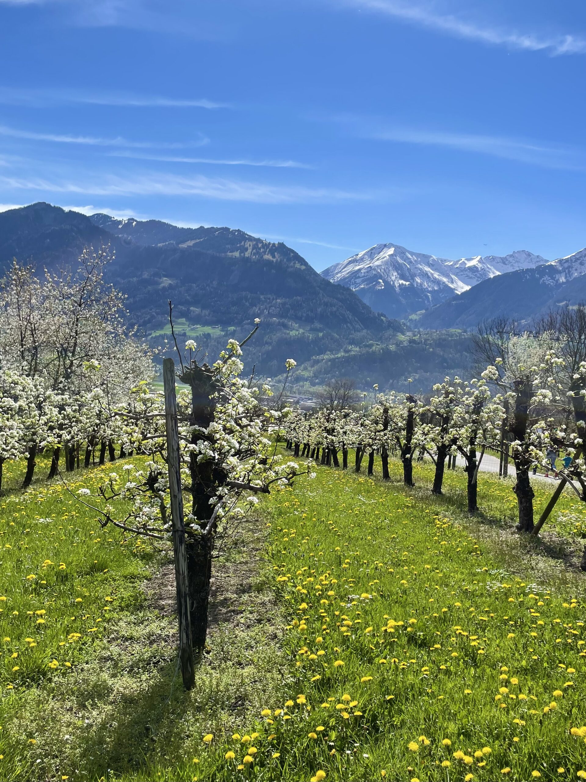 Stumbling through Switzerland